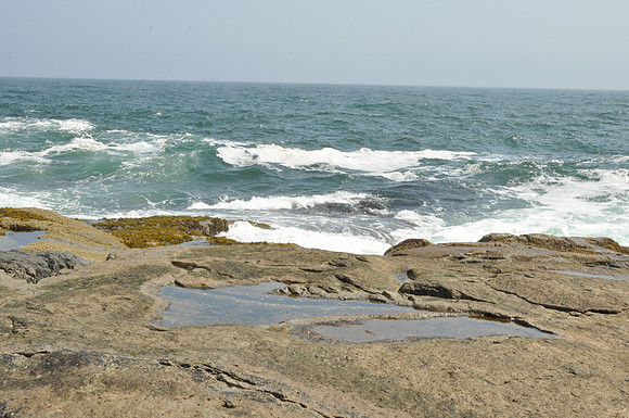 DSC_0051