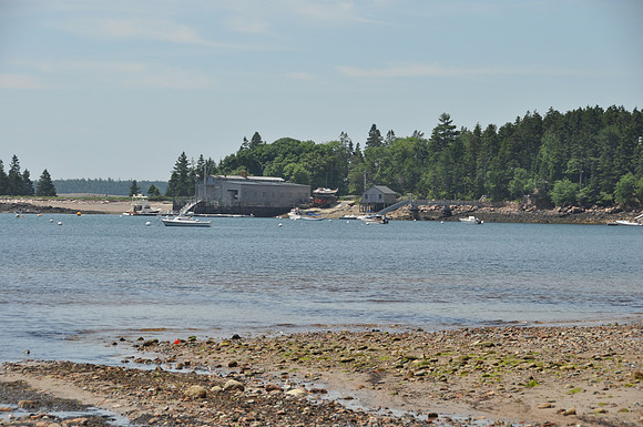 DSC_9986