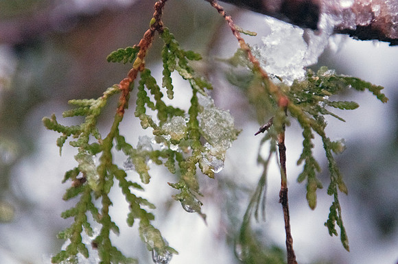 KNL_7774
