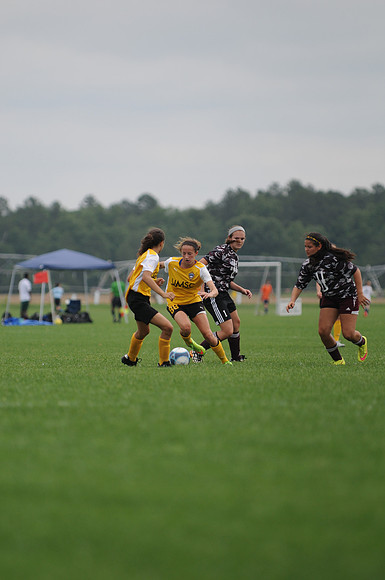 KNL_2591 (1)