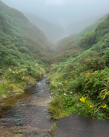 Dingle Peninsula 8-8-24 006