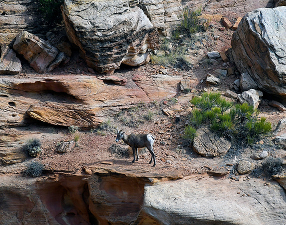 2022 Utah 9_6-9_13 148