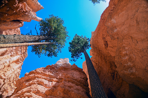 2022 Utah 9_6-9_13 088