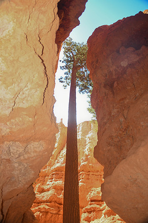 2022 Utah 9_6-9_13 085