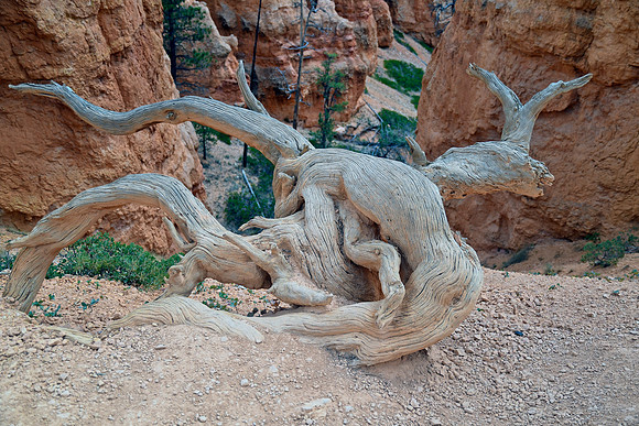 2022 Utah 9_6-9_13 099