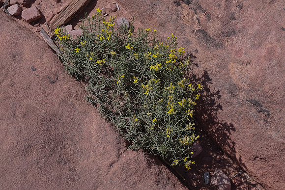 2022 Utah 9_6-9_13 228