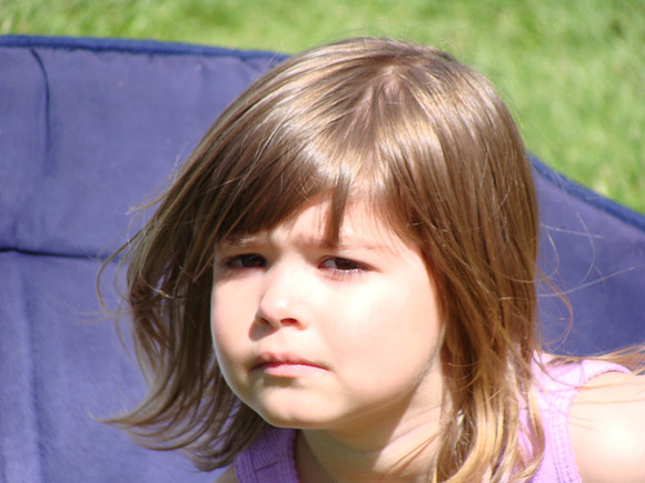 DSC00587