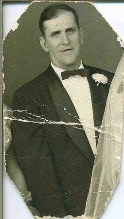 Tom Niven