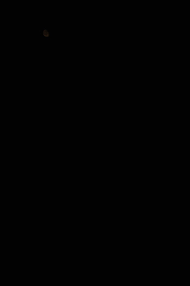 11020