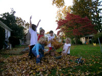 Leaves Neighbors 11 2005 02