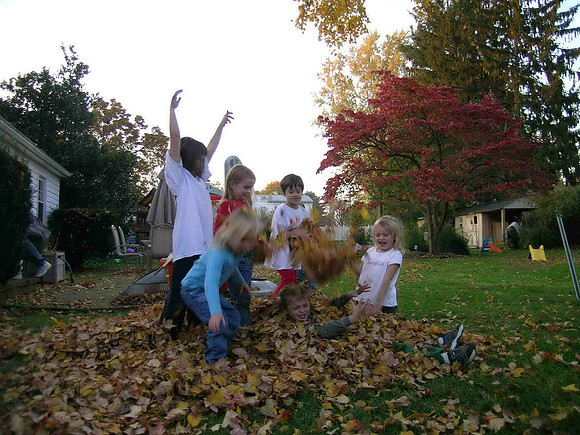 Leaves Neighbors 11 2005 02