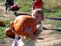 VKL Solly Farm Pumpkin Patch 2007