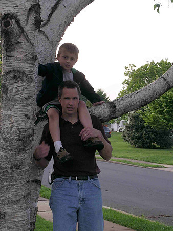 SJL GJL Birch Tree 2006