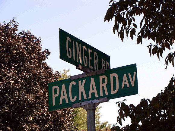 Ginger Packard
