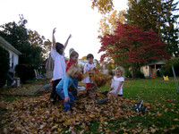 Leaves Neighbors 11 2005 02