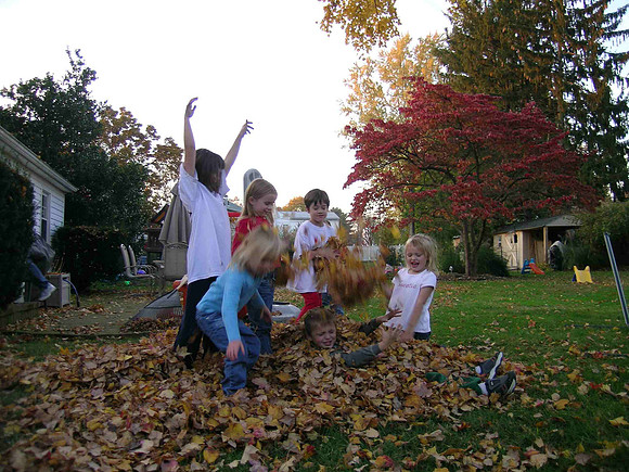 Leaves Neighbors 11 2005 02