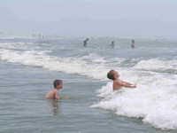 Cannons House Wildwood 62706 13