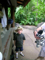 disney 05 18