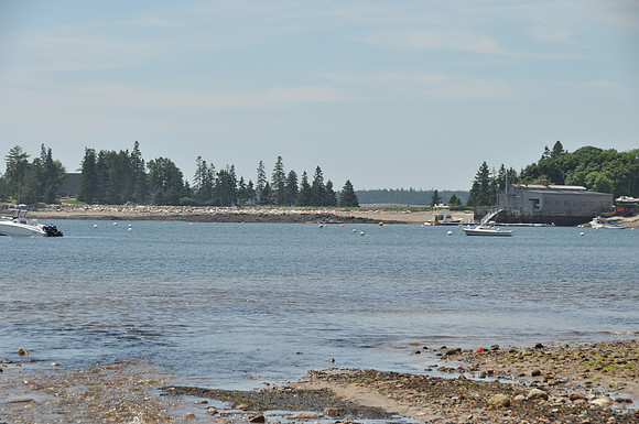 DSC_9985