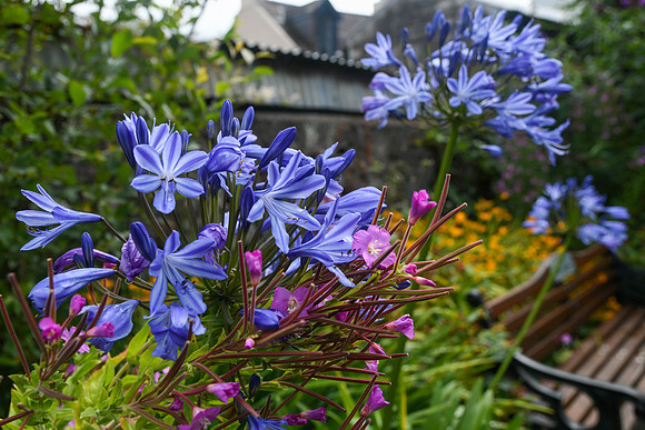 Kinsale 8-5-24 8-6-24 018