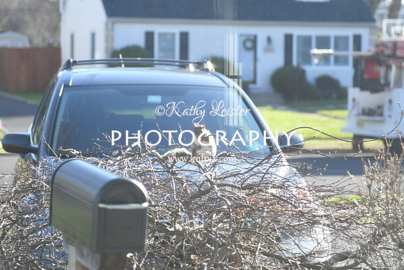 KNL_6191