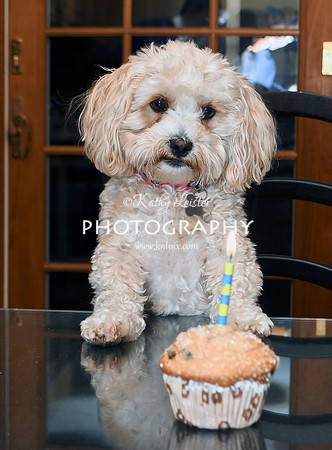 Daisy 2 Years 2