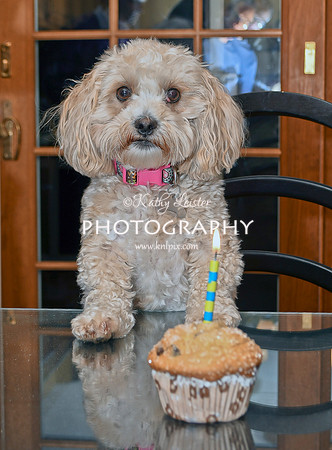 Daisy 2 years 1
