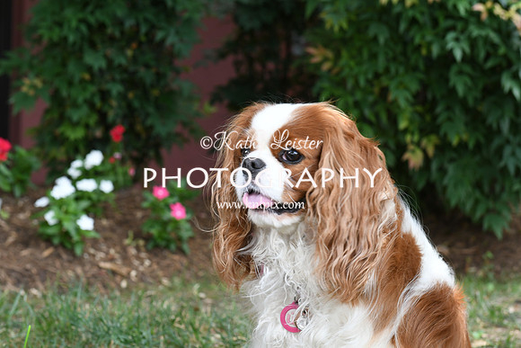 KNL_9448