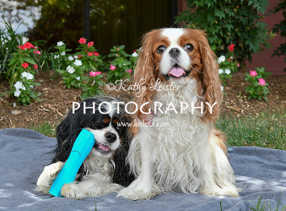 Kathy Leister Photography 14
