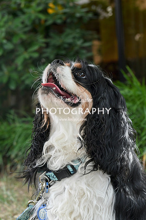 Kathy Leister Photography 15