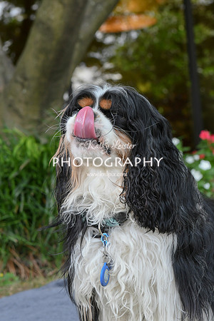 Kathy Leister Photography 16