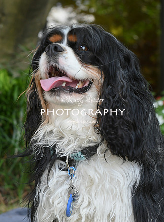 Kathy Leister Photography 17