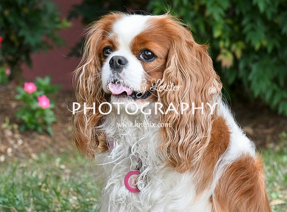 Kathy Leister Photography 18