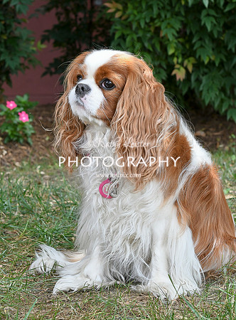 Kathy Leister Photography 19