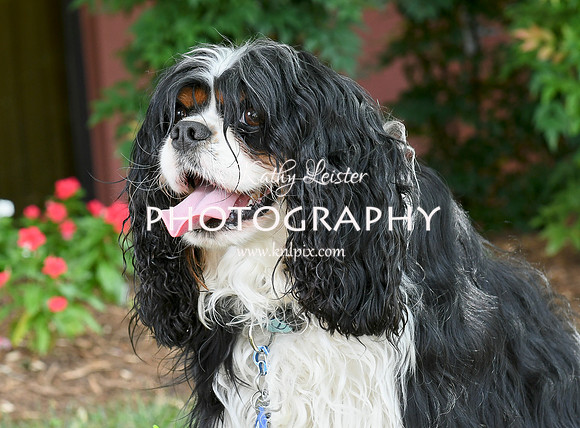 Kathy Leister Photography 20