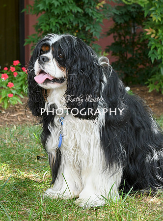 Kathy Leister Photography 21
