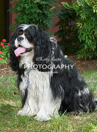 Kathy Leister Photography 12