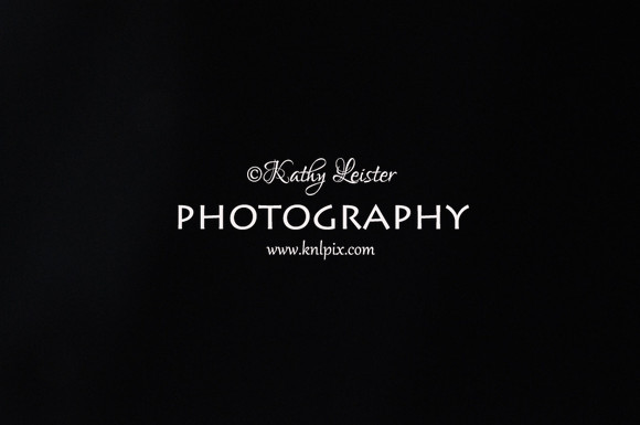 KNL_0279
