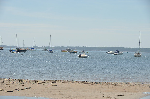 DSC_9980