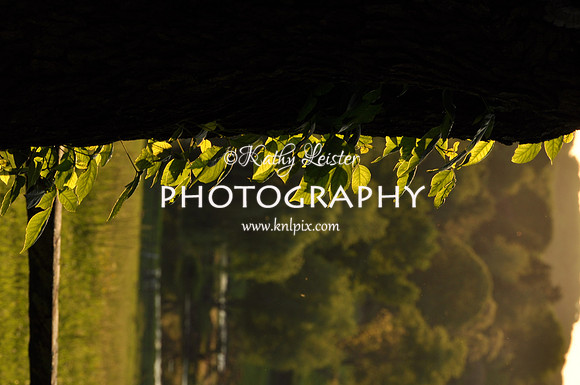 147262