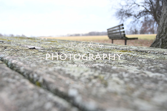 KNL_9684