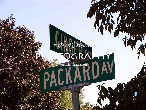 Ginger Packard