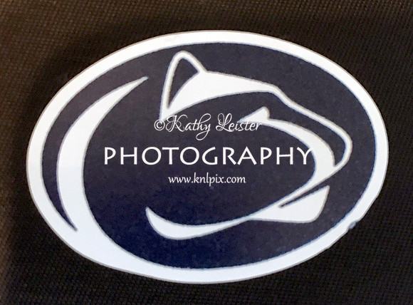 PSU Nittany Lion