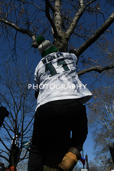 KNL_7066