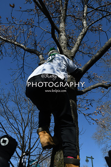 KNL_7067