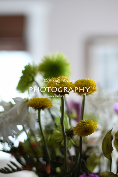 KNL_3519