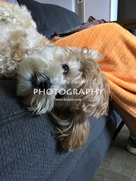 IMG_0336