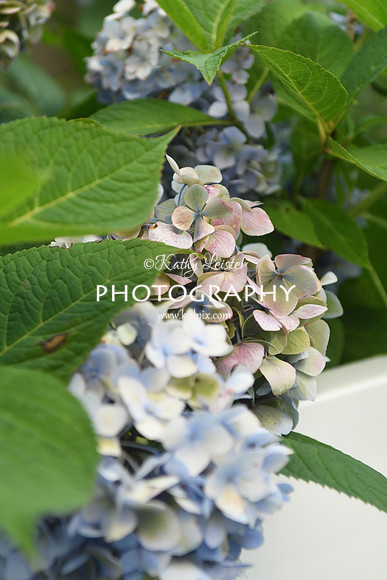 KNL_5713