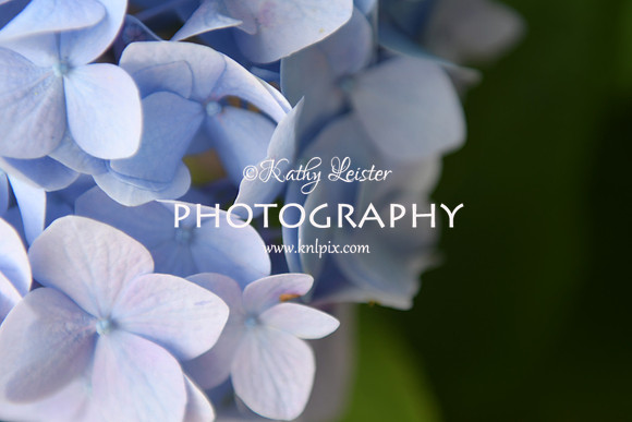 KNL_5730