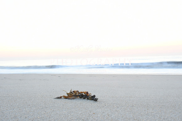 KNL_5797